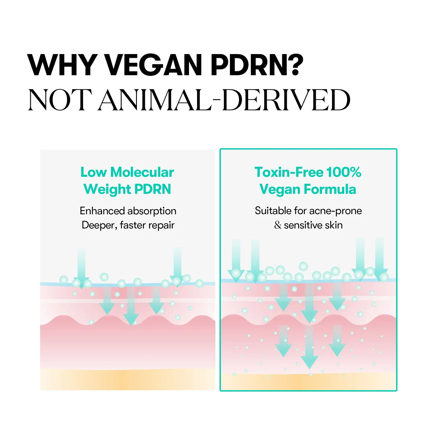 VT PDRN Capsule Cream crème éclat fermeté