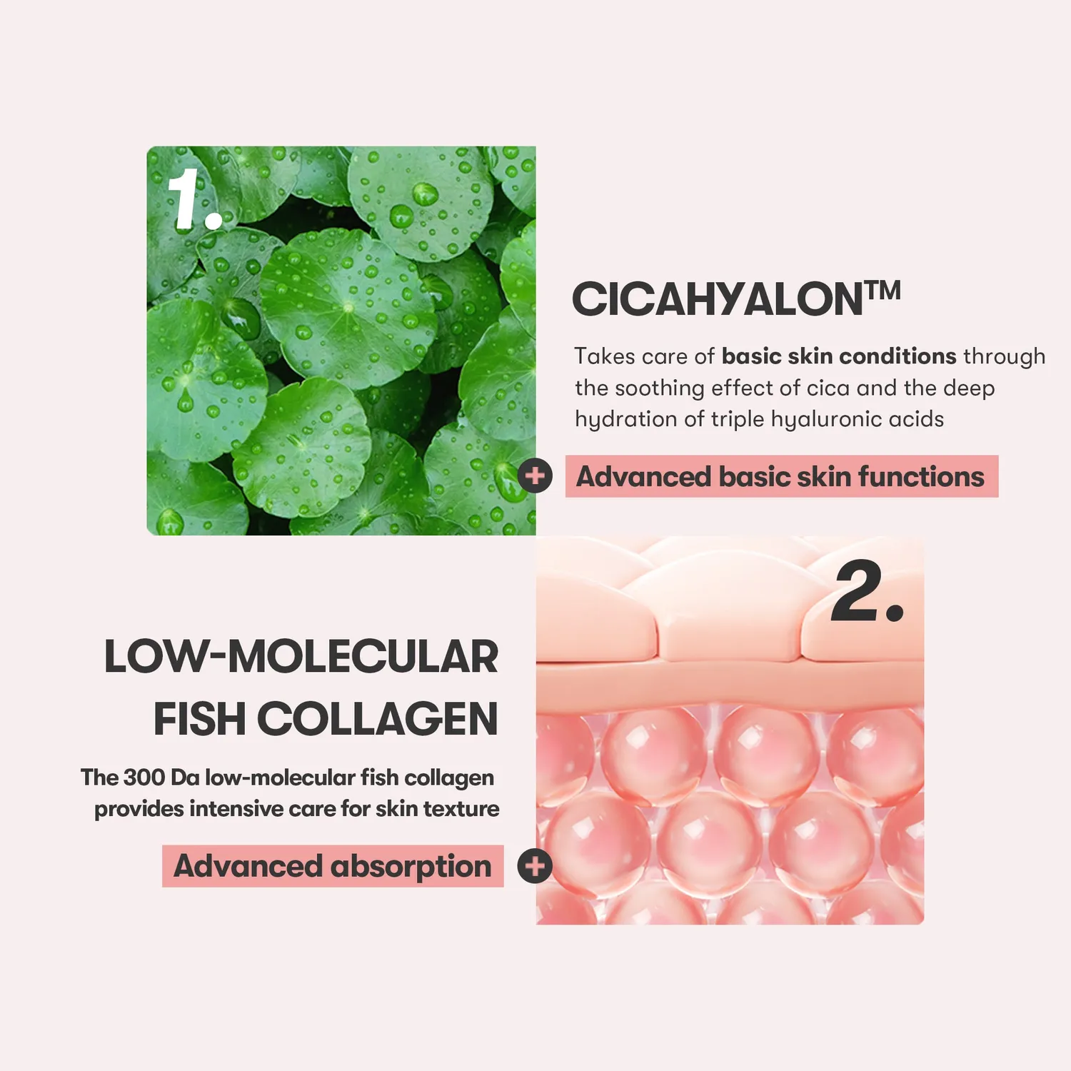 VT Cosmetics Cica Collagen crème contour des yeux hydratante