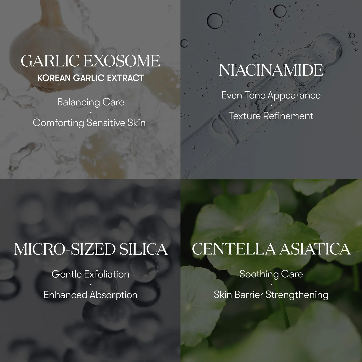 VT Garlic AC Reedle Shot crème gel ail