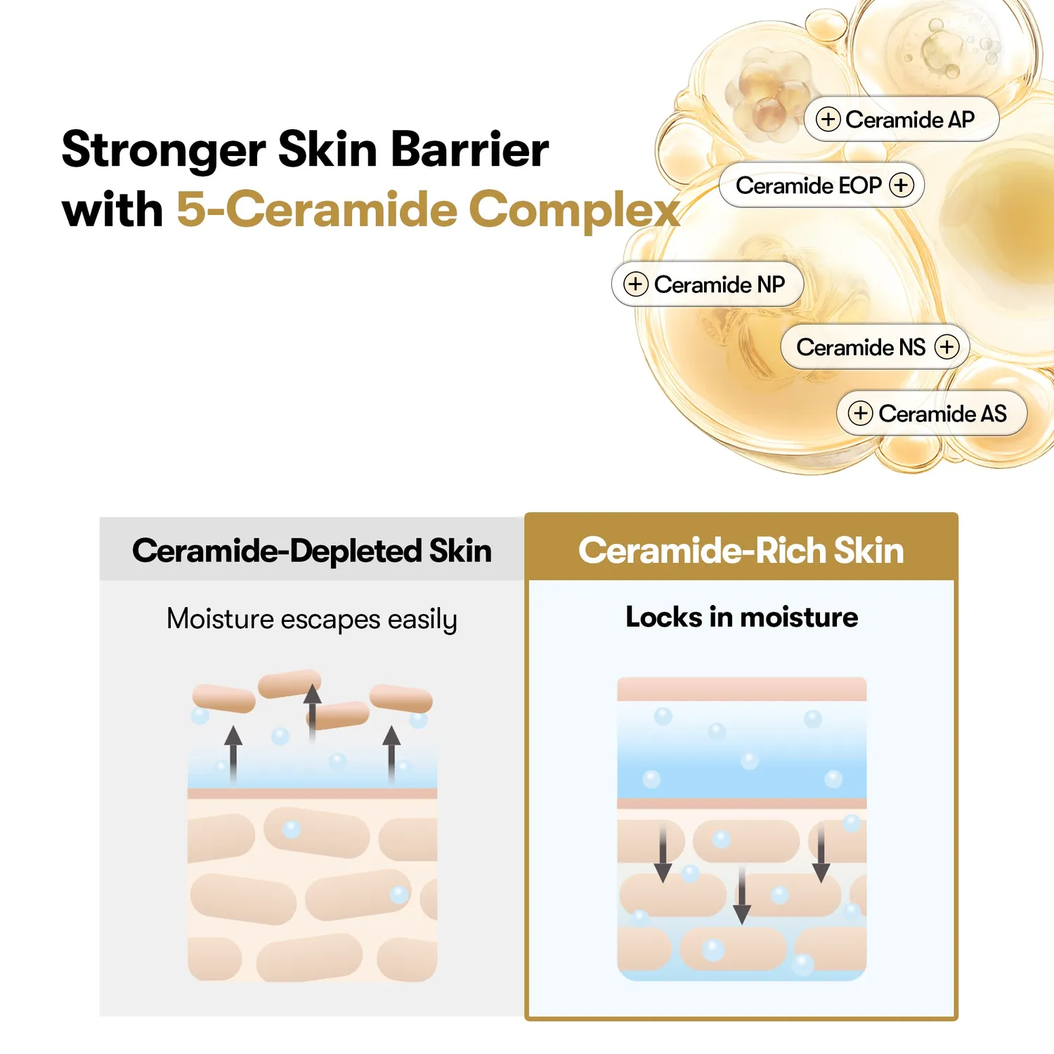 VT Cosmetics Rice Ceramide Capsule crème riz 5 céramides