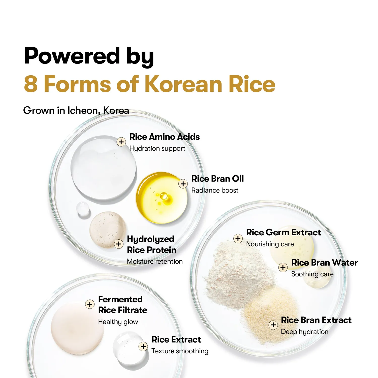 VT Cosmetics Rice Ceramide sérum riz éclat